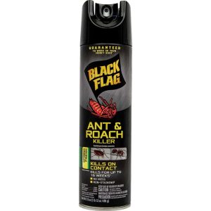 Black Flag Insect Spray Diversion Safe Front View