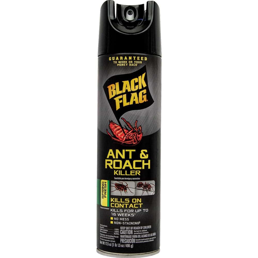 Black Flag Insect Spray Diversion Safe Front View